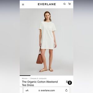 NWT everlane shirt dress